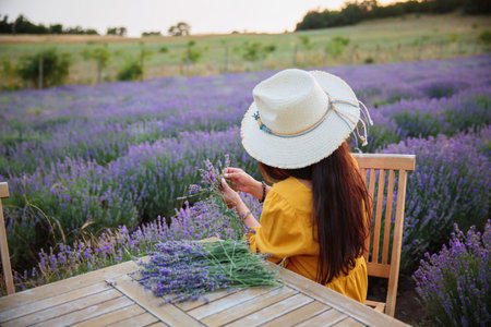 Woman weaving lavender bouquet in flower fieldの写真素材