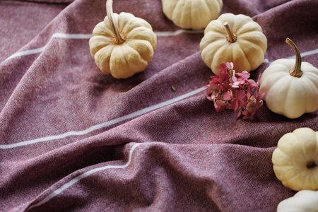 Rustic fall still life with white pumpkins and dried flowers