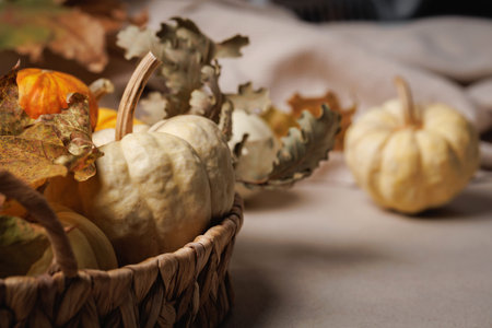 Autumn pumpkin basket with cozy textures and leavesの写真素材
