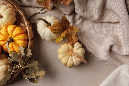 Top view of autumn basket with mini pumpkins and dry leavesの写真素材