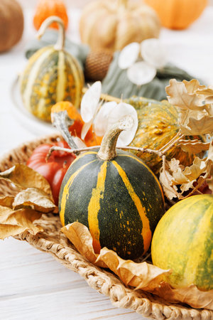 Vertical Shot of Autumn Basket with Pumpkins and Oak Leavesの写真素材