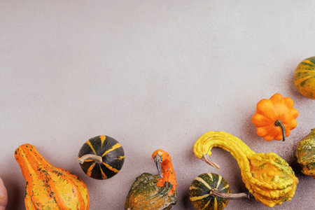 Autumn harvest design with copy spaceの写真素材