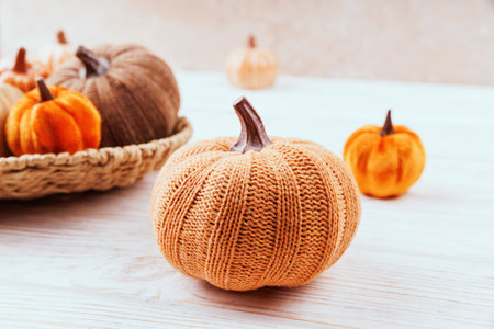 Knitted Pumpkin with Blurred Fall Backgroundの写真素材