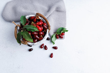 Top View of Dogwood Berries in Ceramic Bowl with Leavesの写真素材