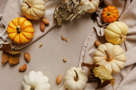 Cozy Thanksgiving Still Life with Pumpkinsの写真素材