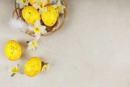 Top view of Easter eggs and spring flowers on soft background