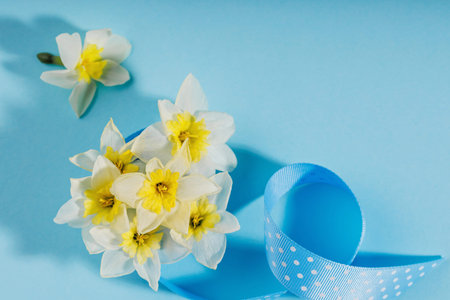 Spring bouquet of white daffodils with blue ribbon on pastel backgroundの写真素材