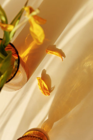 Shadow Pattern and Golden Reflection Minimal Still Lifeの写真素材