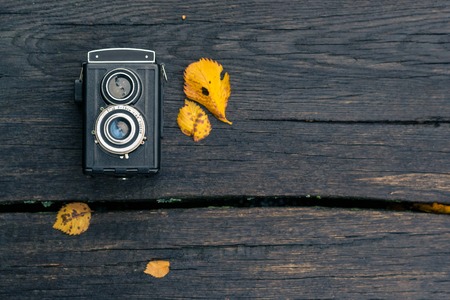 Autumn concert, retro camera, yellow maple leaves, hanging on a tree trunkの写真素材