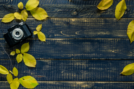 Autumn concert, retro camera on a autum backgroundの写真素材