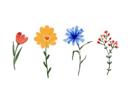 set of colorful garden flowers isolated on white background.の写真素材