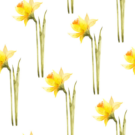 Seamless pattern with yellow flowers of daffodils on a white background, spring watercolor illustration.の写真素材