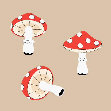 Set of fly agaric mushrooms vector drawings, freehand illustrations in flat style.のイラスト素材