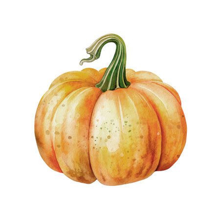 Pumpkin isolated on white background. hand drawn watercolor illustrationの写真素材