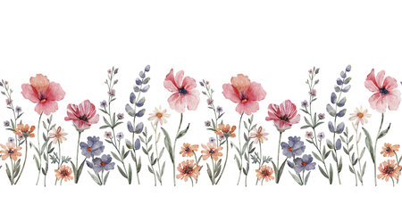 Seamless border with delicate multi-colored meadow flowers, watercolor illustration.の写真素材
