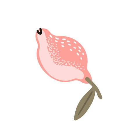 Soft pink abstract lemon on white background, flat style vector illustrationのイラスト素材