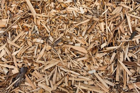 monochromatic background of wooden and bark chips mulch