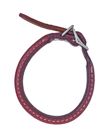 vintage red leather dog collar over whiteの写真素材