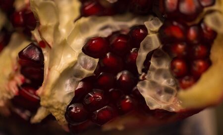 pomegranate seedsの写真素材