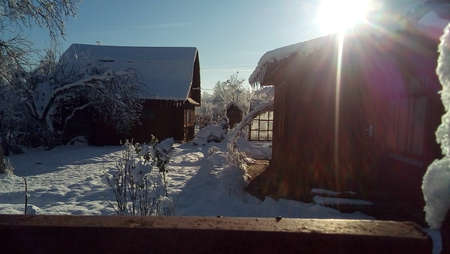 Winter sun in Belarusian natureの写真素材