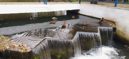 Water park in Belarus in autumnの写真素材