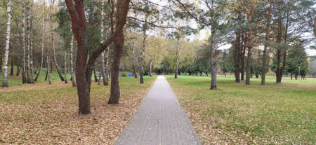 Water park in Belarus in autumnの写真素材