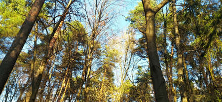 Autumn park in Minskの写真素材