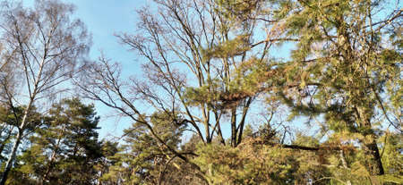 Autumn park in Minskの写真素材