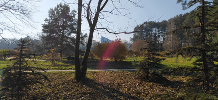 Ðutumn park in Minskの写真素材