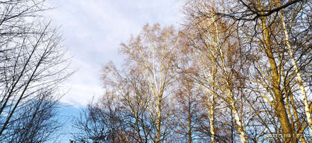 Ðutumn park in Minskの写真素材