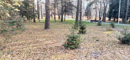 Ðutumn park in Minskの写真素材