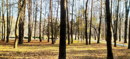 Ðutumn park in Minsk