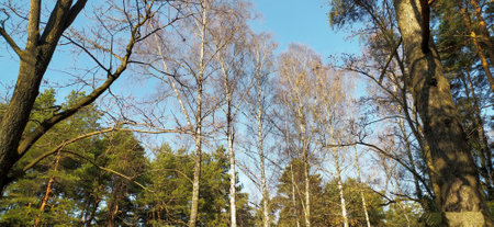 Ðutumn park in Minskの写真素材