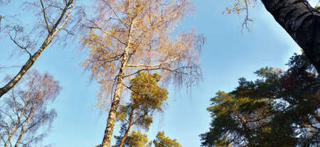 Ðutumn park in Minskの写真素材