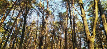 Ðutumn park in Minskの写真素材