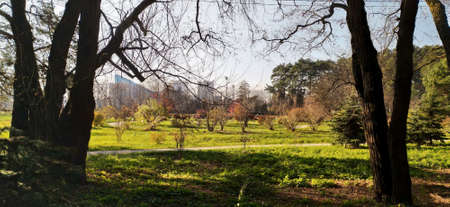 Ðutumn park in Minskの写真素材