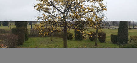 Nature, Park, autumn, near Minsk, Belarusの写真素材
