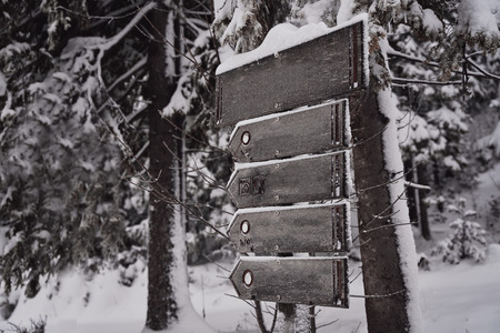 beautiful nature covered in snowの写真素材