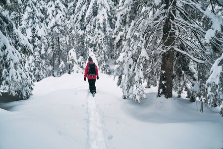 beautiful girl hiking on paths in winter natureの写真素材