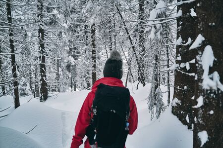 beautiful girl hiking on paths in winter natureの写真素材