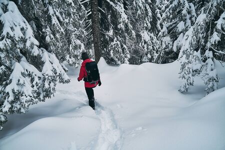 beautiful girl hiking on paths in winter natureの写真素材