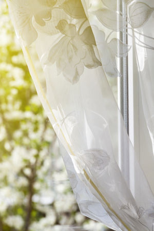 Flowering fruit trees and spring sunshine outside the window of a private houseの写真素材