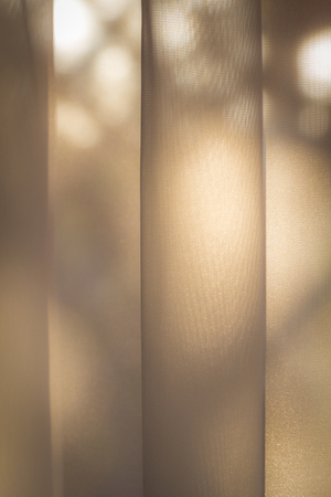 Soft beige background as net curtains on the windowの写真素材