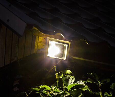 Garden LED Spotlight illuminated at night closeupの写真素材