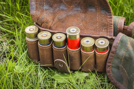 Bandolier with cartridges on a green grass.の写真素材