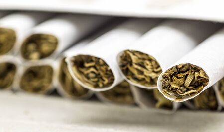 The open pack of cigarettes without filter closeup.の写真素材