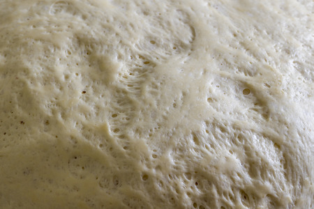 Surface of the risen dough close up.の写真素材