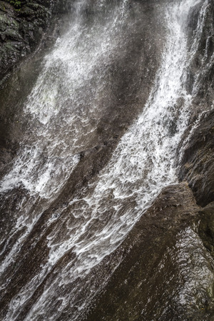 Beautiful big waterfall in wild overgrown places.