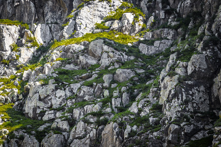 Mountainous landscape of high mountain slope close up.の写真素材