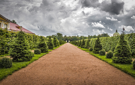 Beautiful orange park alley with decorative trees on the sides.の写真素材